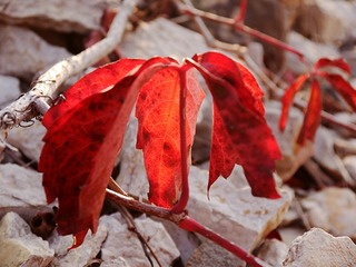 P1100141