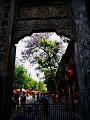 P1150113