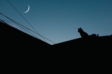 001