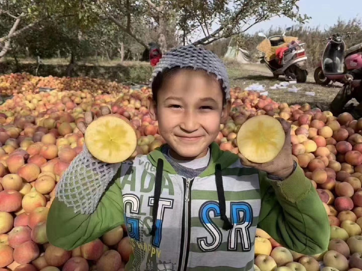 可爱淳朴的新疆阿克苏小朋友和阿克苏冰糖心苹果