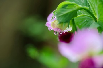 1P2A6899.jpgs