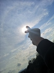 1202075