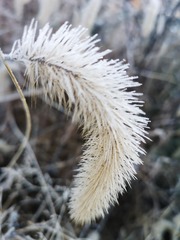 1202120