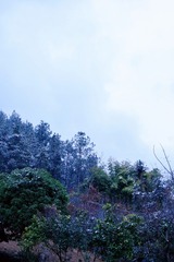 643BF846-FCF0-4881-B3E6-57AB1A90F1E8/L0/001