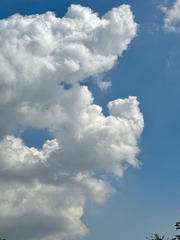 65E7EAF9-8E64-4E15-8814-38F651E3E1DF/L0/001