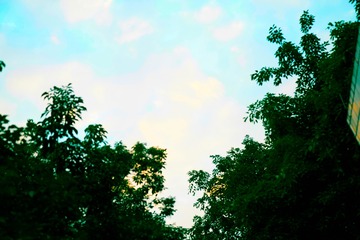 _DSC2535_1