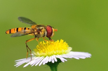 DSC_0864-1.jpg