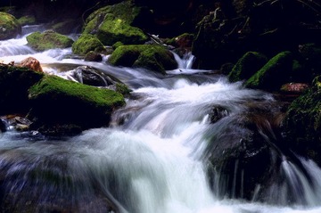 DSC_7739.jpg