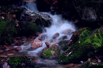 DSC_7680.jpg