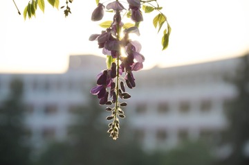 20170422-DSC_4542