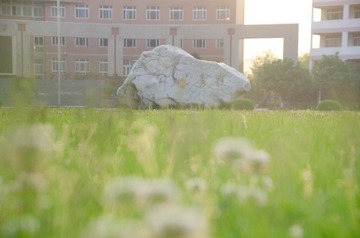 20170422-DSC_4530