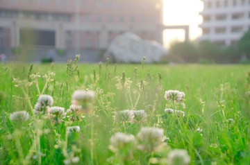 20170422-DSC_4531