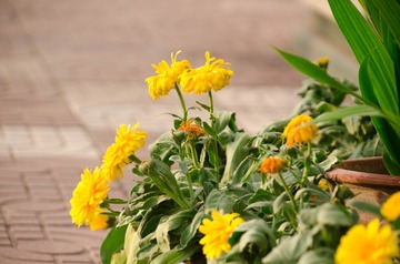 20170422-DSC_4498