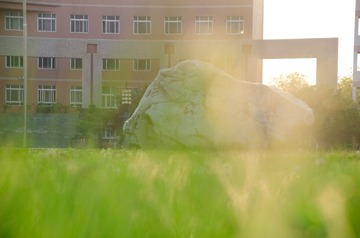 20170422-DSC_4527
