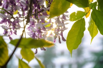 20170422-DSC_4543