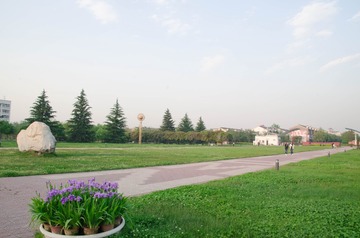 20170422-DSC_4520