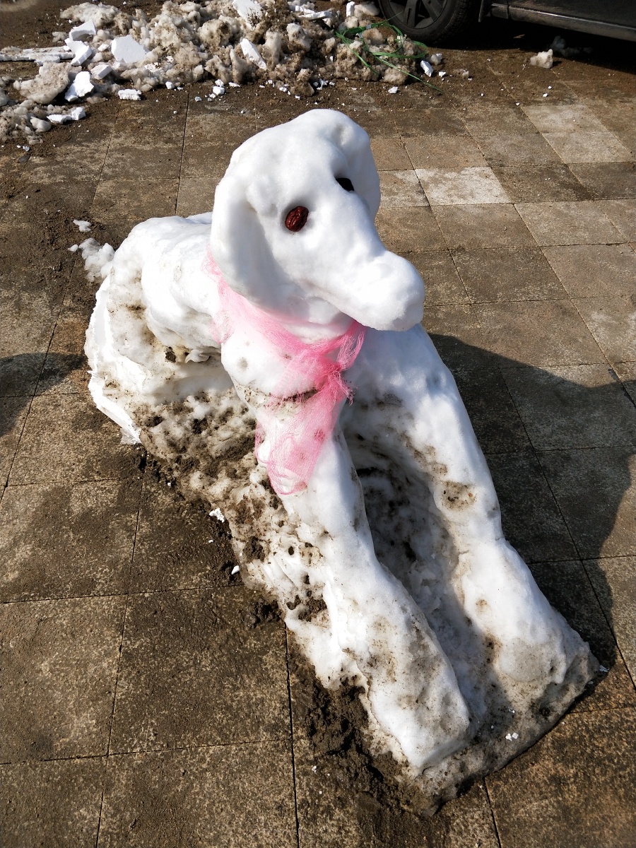雪狗惟妙惟肖逗人爱