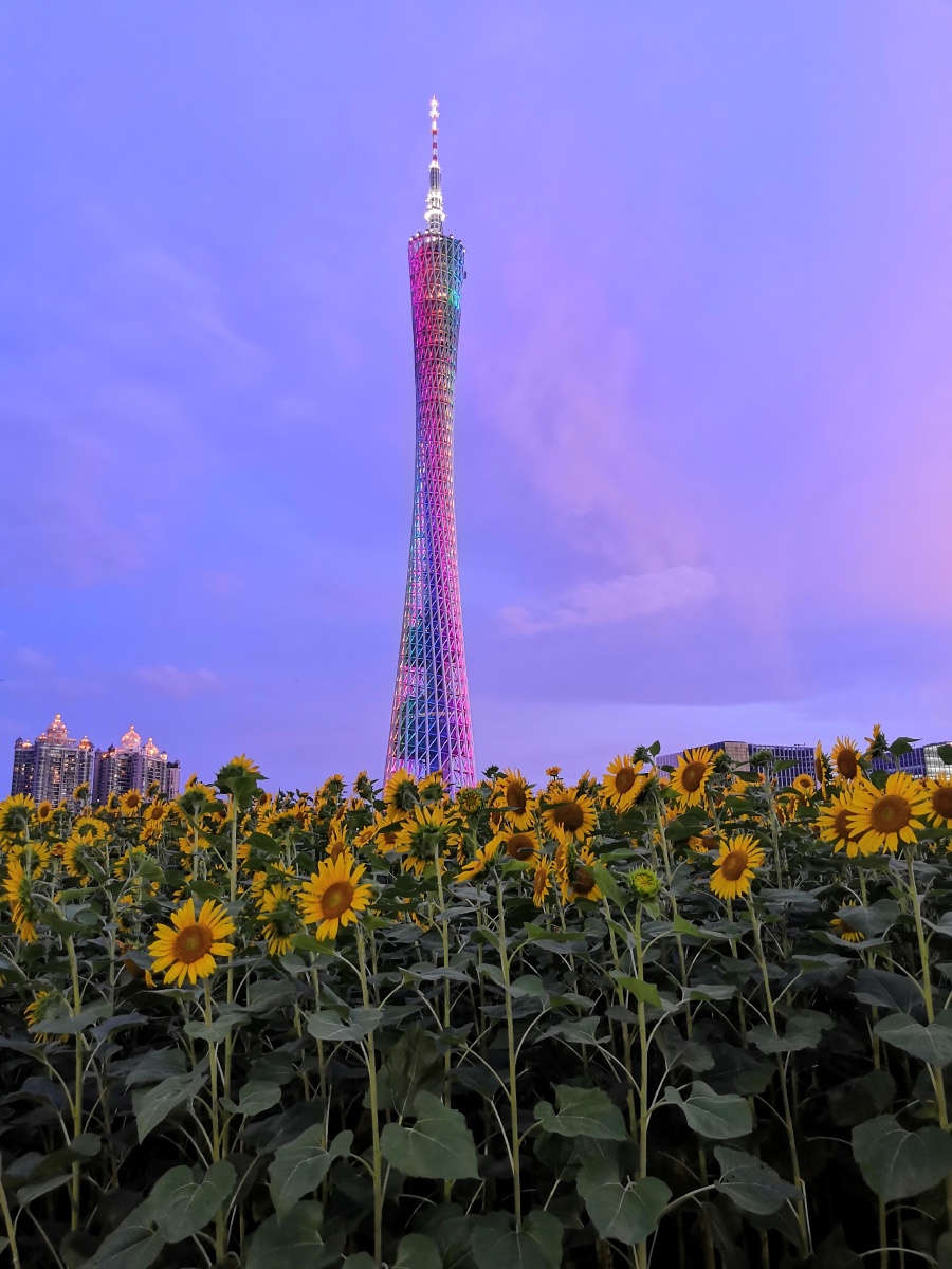 广州海心桥及广州塔东塔西塔