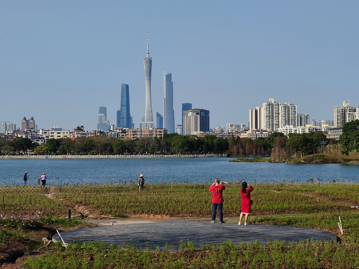 海珠湖远观广州塔美姿