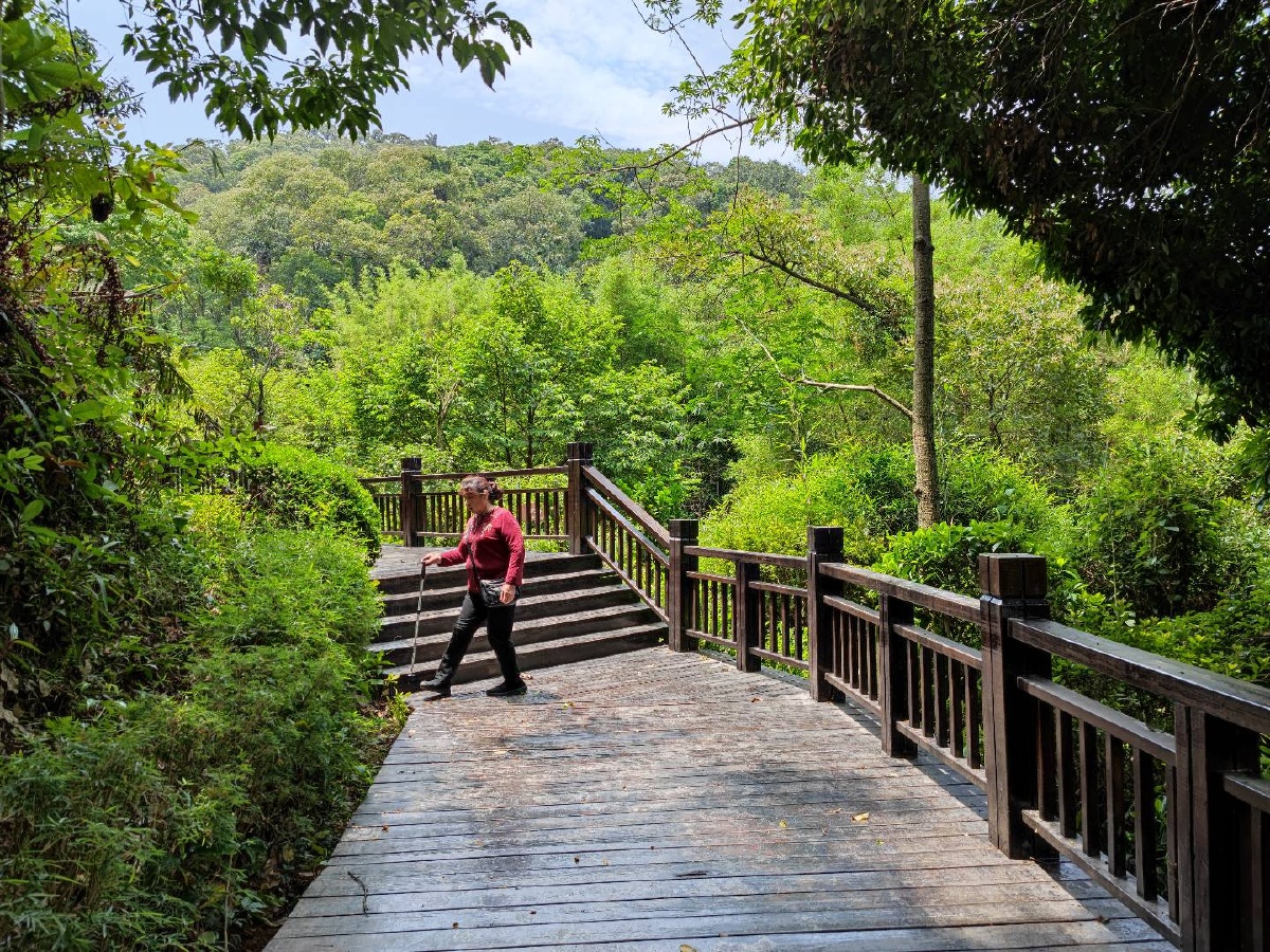 广东天鹿湖森林公园
