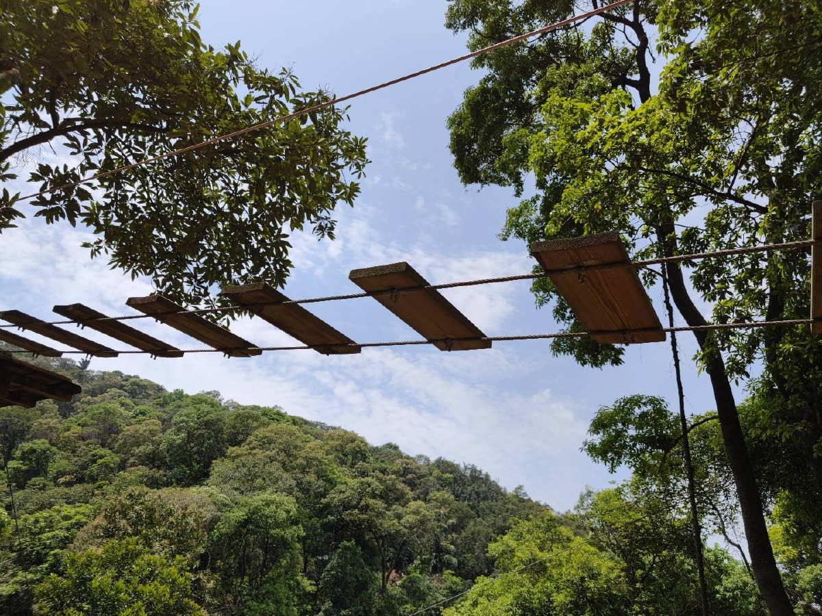 广东天鹿湖森林公园