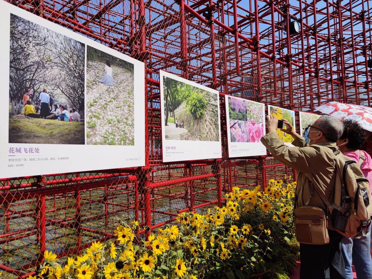 广州过年花城看花摄影展讲述老城市新活力
