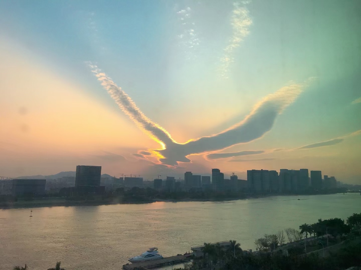 哈哈哈 真正的天降祥瑞啊!