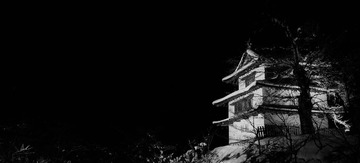 IMG_4139 (2)