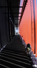 IMG_4146 (2)