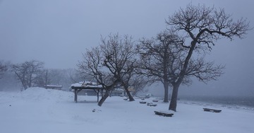 IMG_4366_