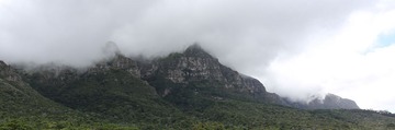 IMG_3268 (2)