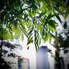 3CF2810F-CC57-4914-B51C-10078A8F0636/L0/001