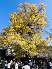 85F72346-D4E0-459F-854C-2CBCFBF5FEF9/L0/001