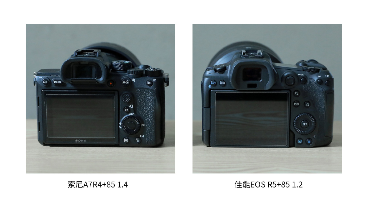 动物眼部对焦佳能eosr5和索尼a7r4哪台相机更胜一筹