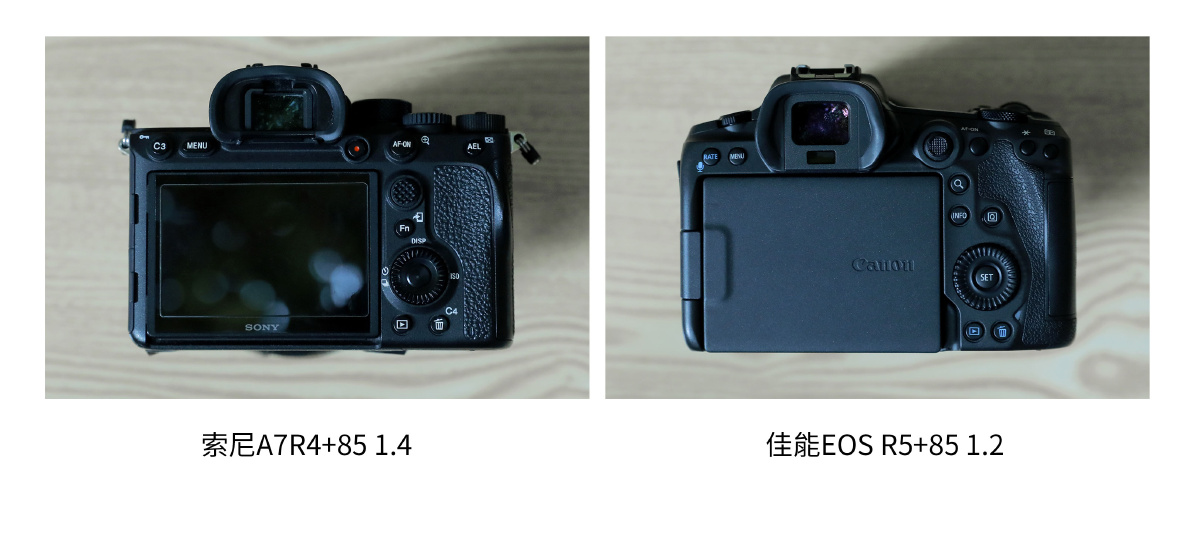 动物眼部对焦佳能eosr5和索尼a7r4哪台相机更胜一筹
