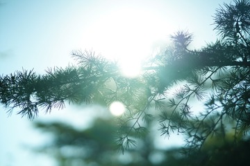64B51E86-F286-43B6-84D4-78DFF428BA03/L0/001