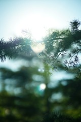 69E3F338-9760-437C-9376-E4CA7568342B/L0/001