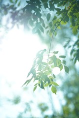 5C9A7889-9A4A-44D0-AF83-7D41EBEDEB4A/L0/001