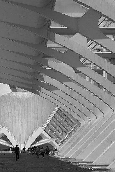 Valencia 的 City of Arts and Sciences 包含了,水族公园,科技博物馆,歌剧院,IMAX-3D电影院。天文馆<br /><br />
Santiago Calatrava 负责总体规划设计,1991年开始动工,2006年部分竣工,2009年的时候,部分还在施工中。<br /><br />
<br /><br />
科技博物馆的屋檐下往天文馆的方向。<br /><br />