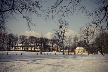 -11