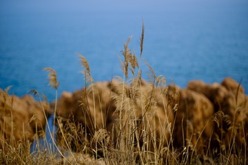 88535A90-02F4-4F0E-82E7-3AFFFC338CFB/L0/001