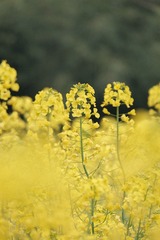 F5AE655B-7409-434F-A7D4-668D4AAE963A/L0/001
