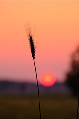 DA767323-2C66-4D56-A271-A180C9B01774/L0/001