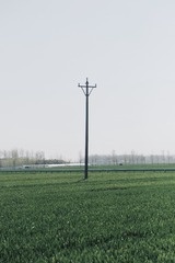 B4BB59DE-0ADE-4197-A683-C8E623117C05/L0/001