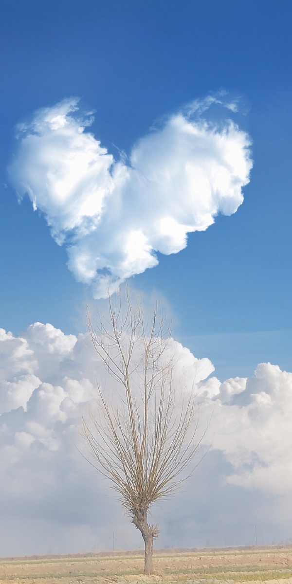 蓝天祥云,太美了