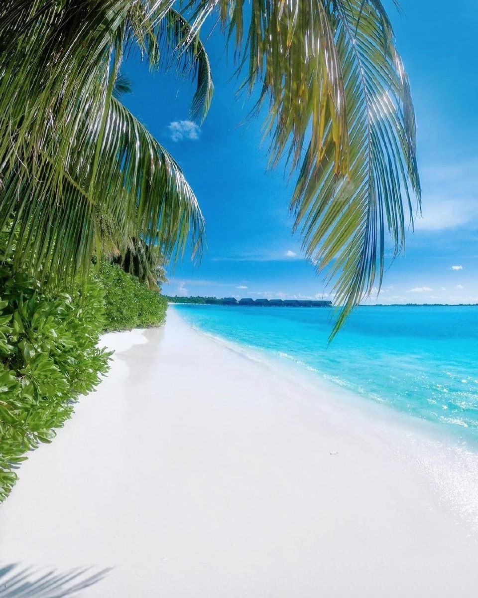 马尔代夫天堂美景