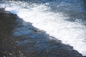 DSC_2156_1