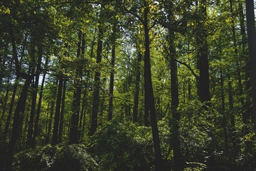DSC_2250_
