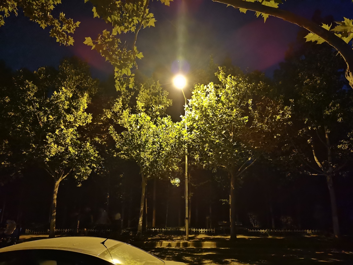 和煦微风 晚间夜景