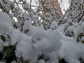 1216180